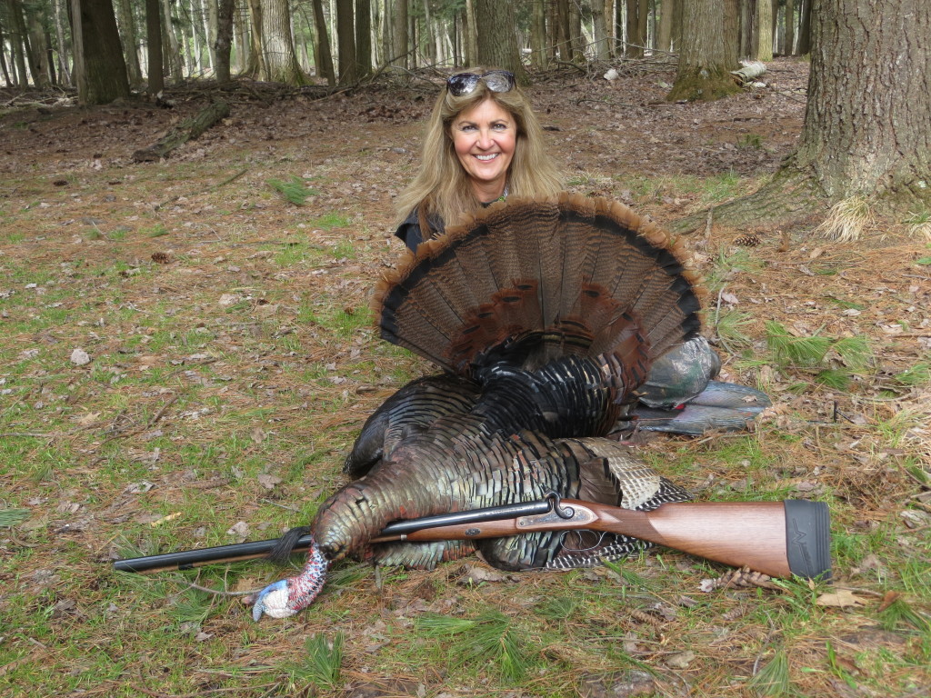 SCI No. 11 Eastern (2016)